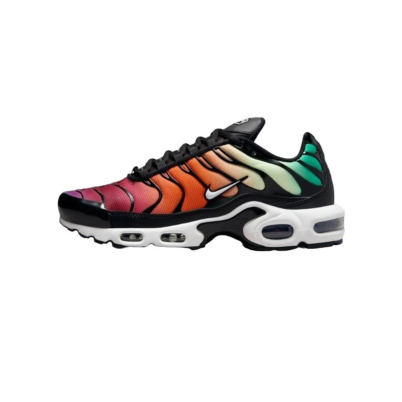 Nike air Max Plus Rainbow