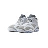 Air Jordan 6 Cool Grey