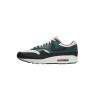 Nike Air Max 1 Liverpool Lebron James