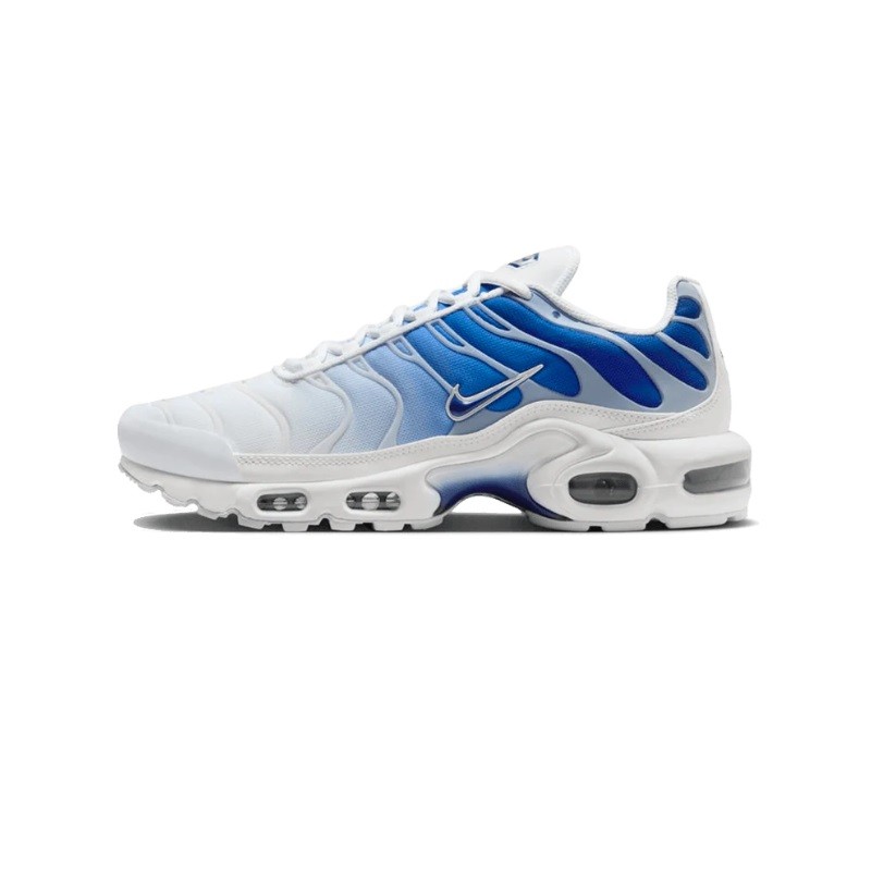 Nike Air Max Plus Blue Fade