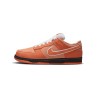 Nike SB Dunk Low Concepts Orange Lobster